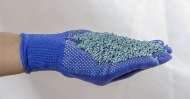 Topuz hangi elinde mineral gübre mitt koymak.