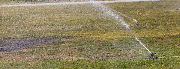 Otomatik sulama kötü bir çim dökülen bir sıcak yaz gününde — Stok fotoğraf
