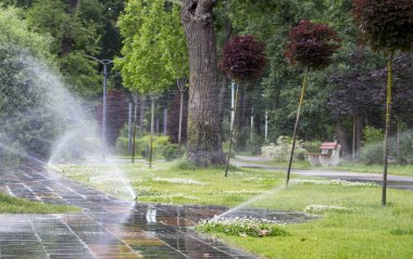 Otomatik fıskiye sistemi yeşil çimlerin arka planında çimleri suluyor
