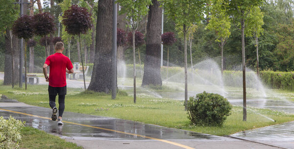 automatic sprinkler system watering the lawn on a background of green grass