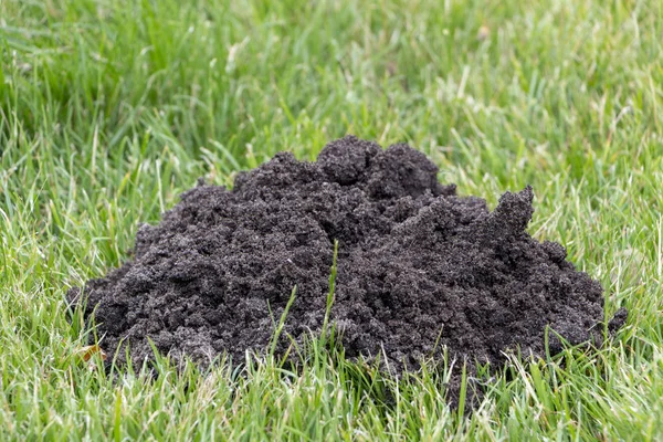 Öyle benler nüfus görünümü güneşli tarafından yapılan'ın bahçesinde.