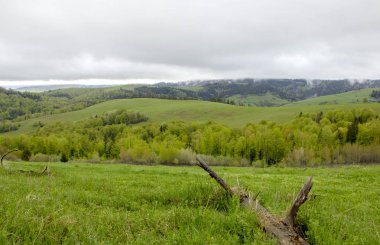 Dağlarda, Ukrayna Karpatlar bulutlu hava