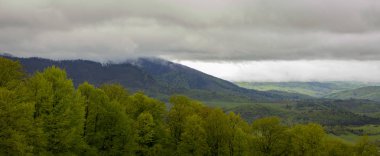 Dağlarda, Ukrayna Karpatlar bulutlu hava