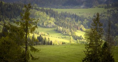 Dağlarda, Ukrayna Karpatlar bulutlu hava