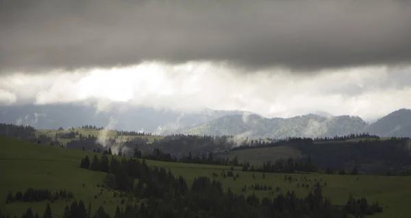 Облачно в горах, Украинские Карпаты — стоковое фото