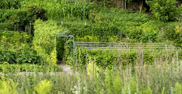 Bett ein moderner Designer-Garten. Verwendung natürlicher Materialien. und die Auswahl der Pflanzen auf Verträglichkeit — Stockfoto