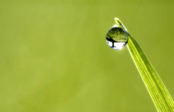 Tautropfen auf dem schönen grünen Gras, Hintergrund aus nächster Nähe — Stockfoto