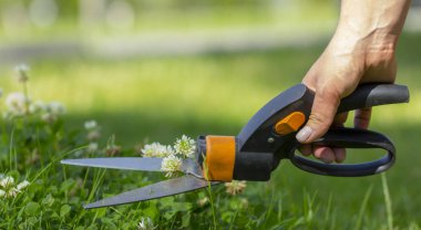 Çim yerlere ulaşmak zor, bahçıvan profesyonel makasla kesme