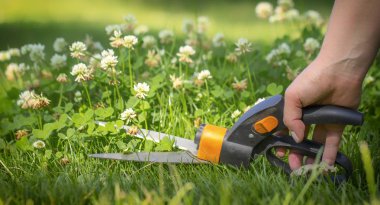 Çim yerlere ulaşmak zor, bahçıvan profesyonel makasla kesme