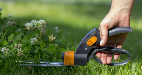 Cięcie trawnika z nożyczkami w trudno dostępnych miejscach, profesjonalny ogrodnik — Zdjęcie stockowe