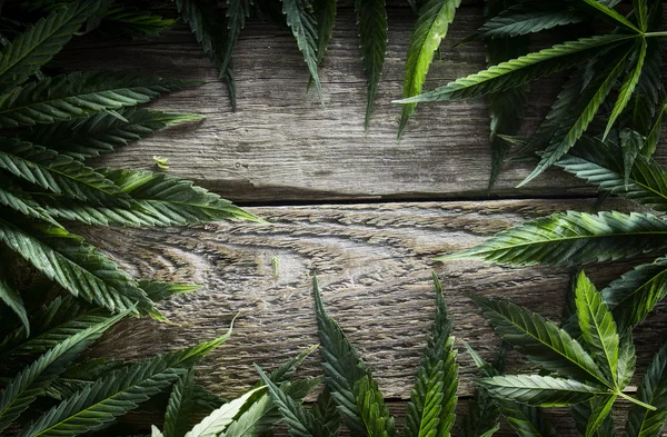 Un foglio di canapa su uno sfondo di legno bianco — Foto Stock