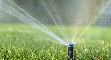 Otomatik fıskiye sistemi yeşil çimlerin arka planında çimleri suluyor