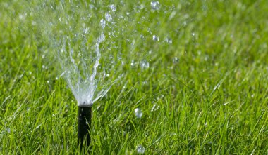Otomatik fıskiye sistemi yeşil çimlerin arka planında çimleri suluyor