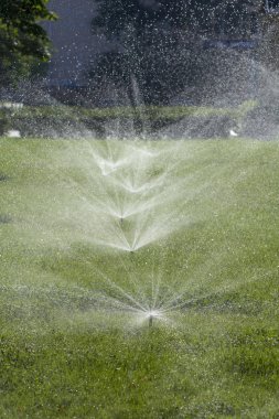 Otomatik fıskiye sistemi yeşil çimlerin arka planında çimleri suluyor