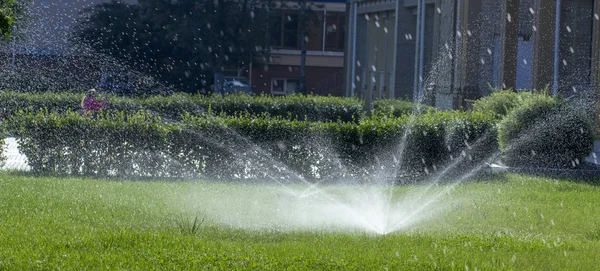 Otomatik fıskiye sistemi yeşil çimlerin arka planında çimleri suluyor