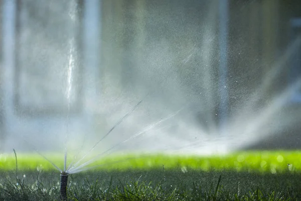 Otomatik fıskiye sistemi yeşil çimlerin arka planında çimleri suluyor