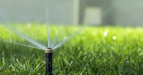 自动洒水系统在绿草的背景上浇灌草坪 — 图库照片