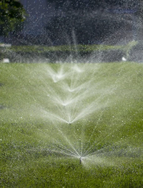 Otomatik fıskiye sistemi yeşil çimlerin arka planında çimleri suluyor