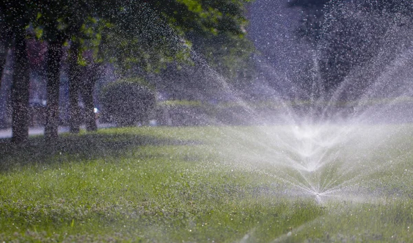 Otomatik fıskiye sistemi yeşil çimlerin arka planında çimleri suluyor