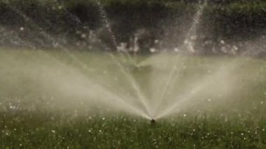 Otomatik fıskiye sistemi yeşil çimlerin arka planında çimleri suluyor