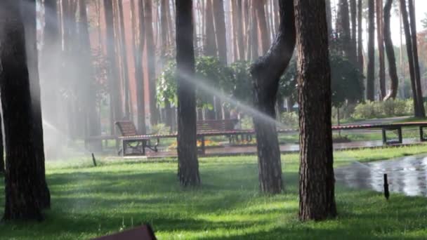 Automatische sprinkler systeem besproeiing van het gazon op een achtergrond van groen gras — Stockvideo