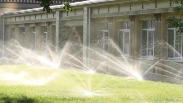 Système d'arrosage automatique arrosage de la pelouse sur un fond d'herbe verte — Video