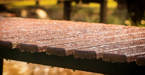 Sonra şehir parkı yağmurda su yüzeyi ahşap benchwith damla