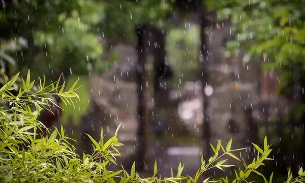 Lluvia en el parque, sobre el fondo del viejo arco de piedra — Foto de Stock