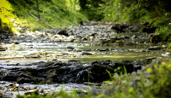 Górski potok z kamienistym dnem i zielonym brzegiem w Karpatach ukraińskich — Zdjęcie stockowe