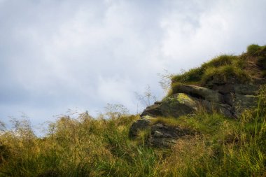 Ukrayna Karpatlar bulutlu havalarda, sis ormandan yükselir.