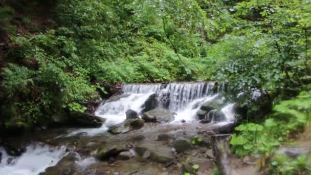 Shidot 滝は、ウクライナのカルパチア山脈で最も美しい滝の一つ — ストック動画