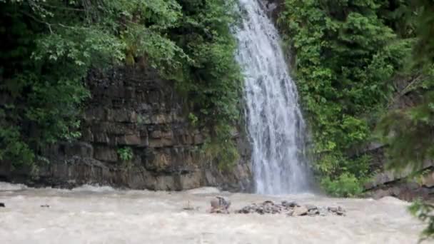 Uma pequena cachoeira perto do Lago Synevir, que cai em um rio de montanha rápida — Vídeo de Stock