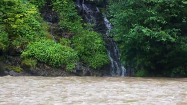 Une petite cascade près du lac Synevir, qui tombe dans une rivière de montagne rapide — Video