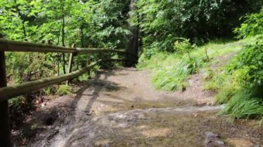 Sıcak güneşli bir gün Peyzaj Sonbahar ormanda küçük bir vadiye kir yolundaki