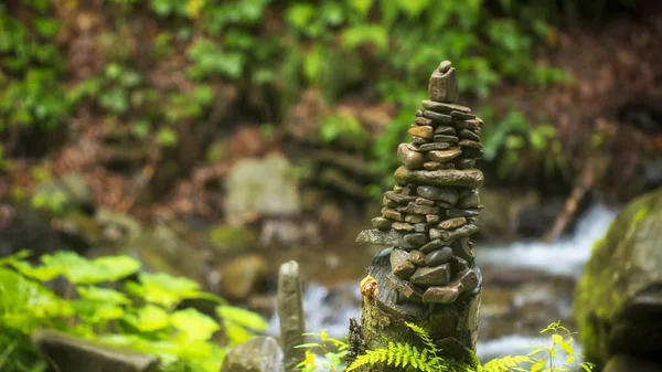 장식된 정원에서 자연 돌의 사용 돌의 일본 정원. — 스톡 사진