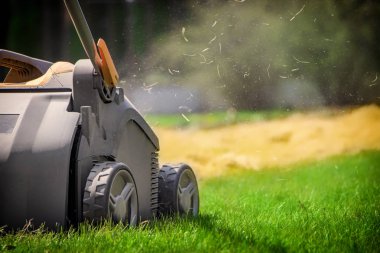 Bahçede çim havalandırma. Yeşil çimenlerin üzerinde sarı aerator yakın çekim
