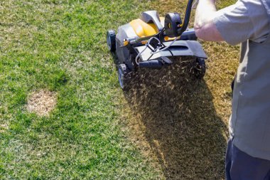 Aeration of the lawn in the garden. Yellow aerator on green grass close up clipart
