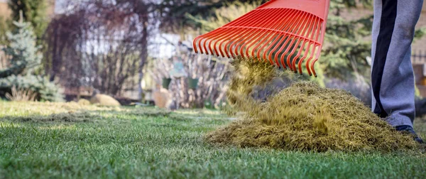 Bir adam keçe ile kırmızı plastik paçavra, bir çim havalandırma sonra takunya.