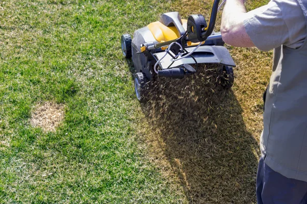 Bahçede çim havalandırma. Yeşil çimenlerin üzerinde sarı aerator yakın çekim
