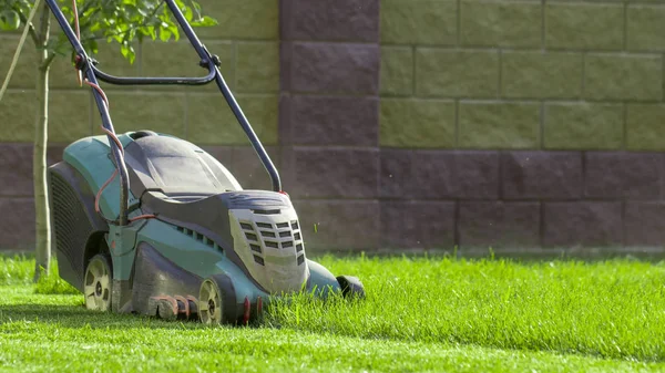 Χλοοκοπτική Μηχανή Κοπή Πράσινο Γρασίδι Backyard Φόντο Κηπουρική — Φωτογραφία Αρχείου