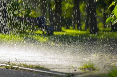 Drops of warm summer rain, falling on the asphalt close up clipart