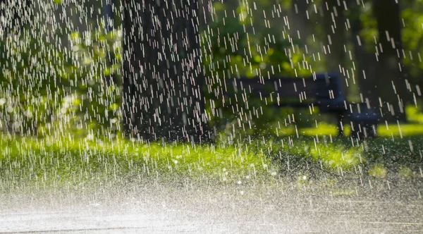 Gotas Lluvia Cálida Verano Cayendo Sobre Asfalto Cerca — Foto de Stock