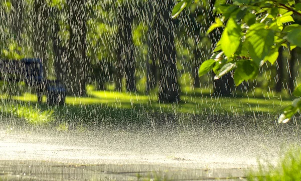 Tropfen Warmen Sommerregens Der Aus Nächster Nähe Auf Den Asphalt — Stockfoto