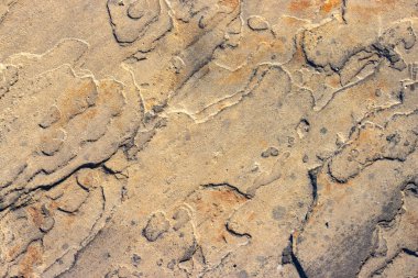 Taşı doğal taş yakın çekim doku arka plan arka plan