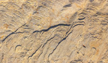 Taşı doğal taş yakın çekim doku arka plan arka plan