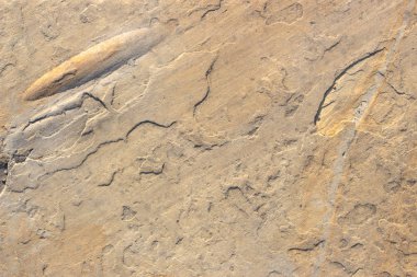 Taşı doğal taş yakın çekim doku arka plan arka plan