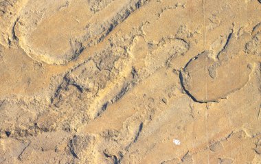 Taşı doğal taş yakın çekim doku arka plan arka plan