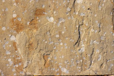 Taşı doğal taş yakın çekim doku arka plan arka plan