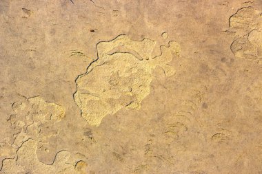 Taşı doğal taş yakın çekim doku arka plan arka plan