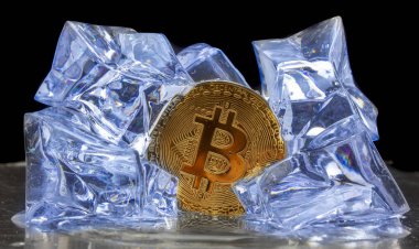Kavramı, bitcoin seyri yavaş yavaş eriyor, düşüyor. Buz küpleri arka planı para. Yakın çekim